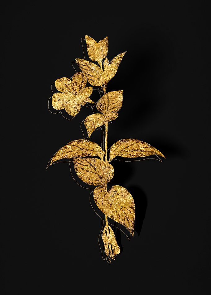 Gold Flora on Black