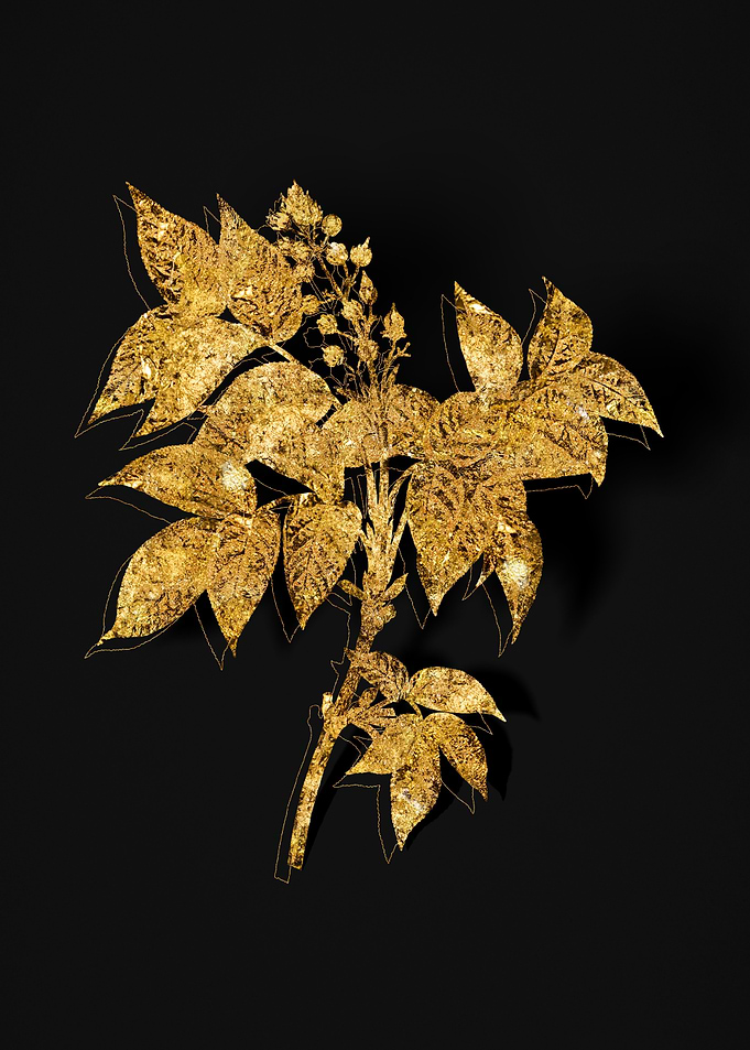 Gold Flora on Black