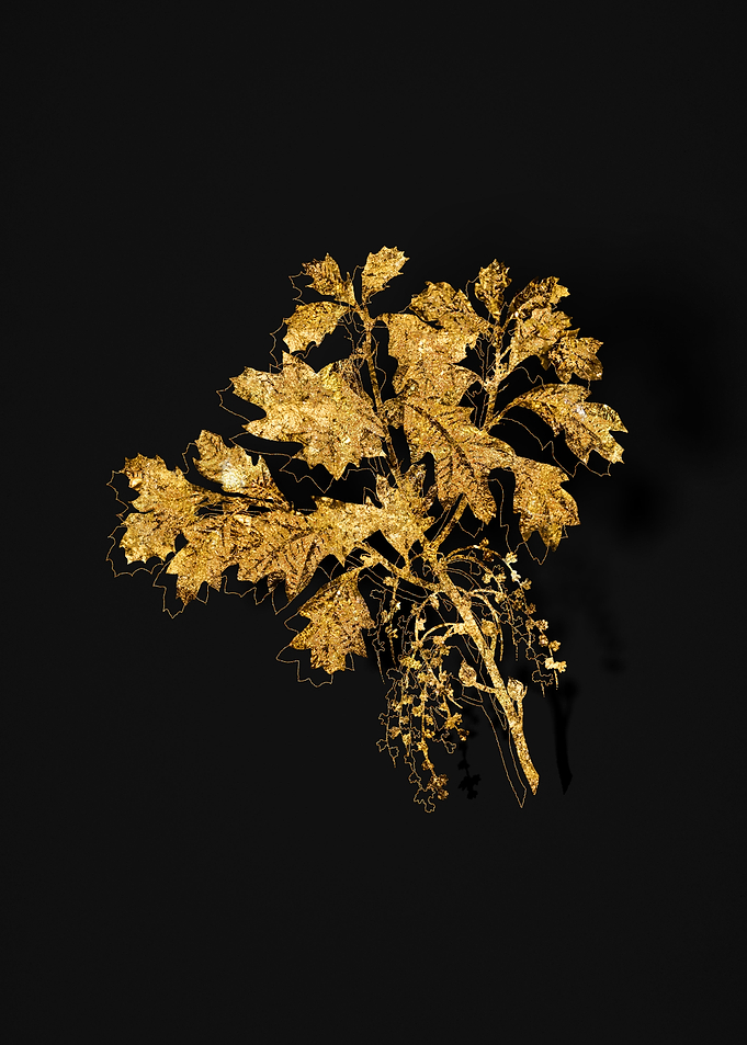 Gold Flora on Black