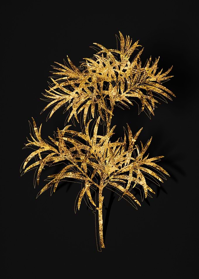 Gold Flora on Black