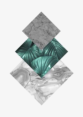 Botanical polygons III