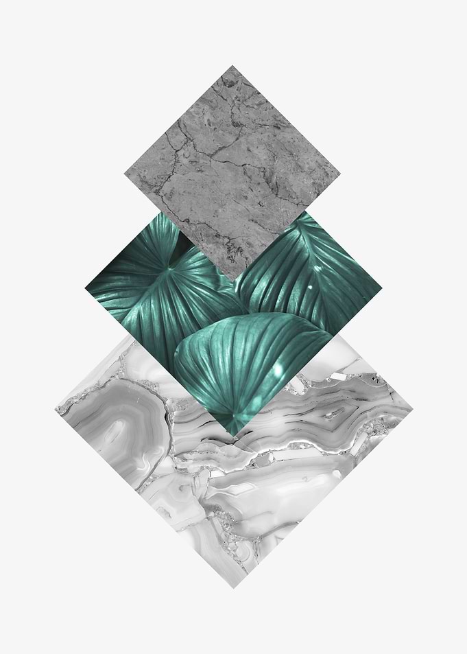 Botanical polygons III