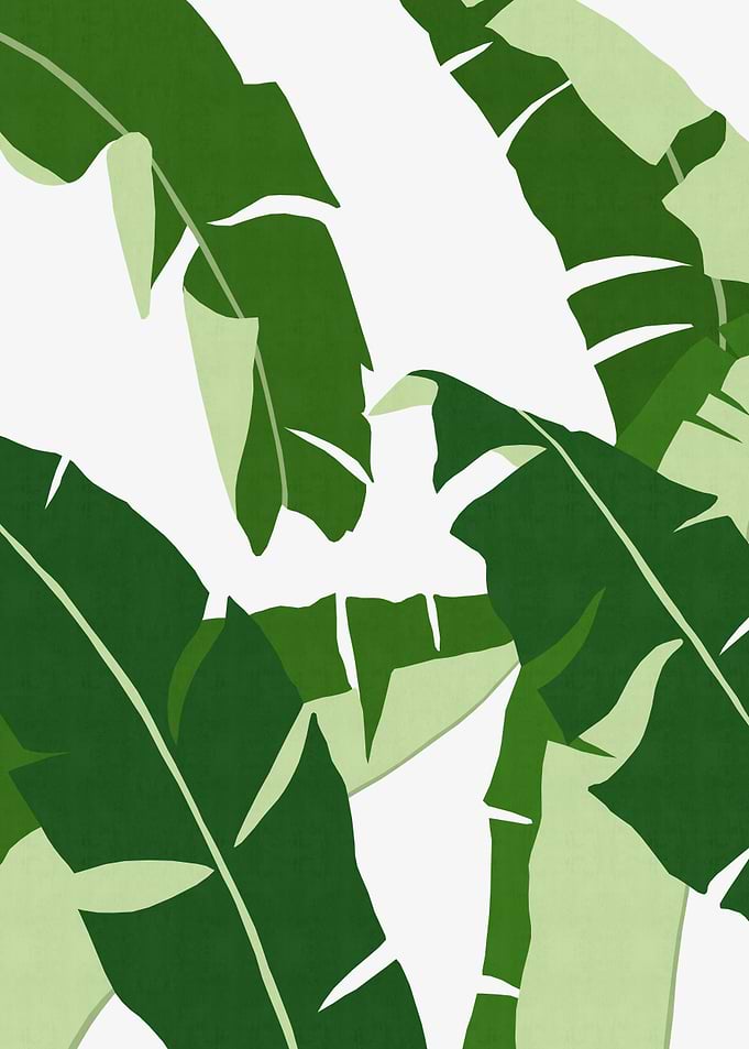 Colorful tropical leaf IV