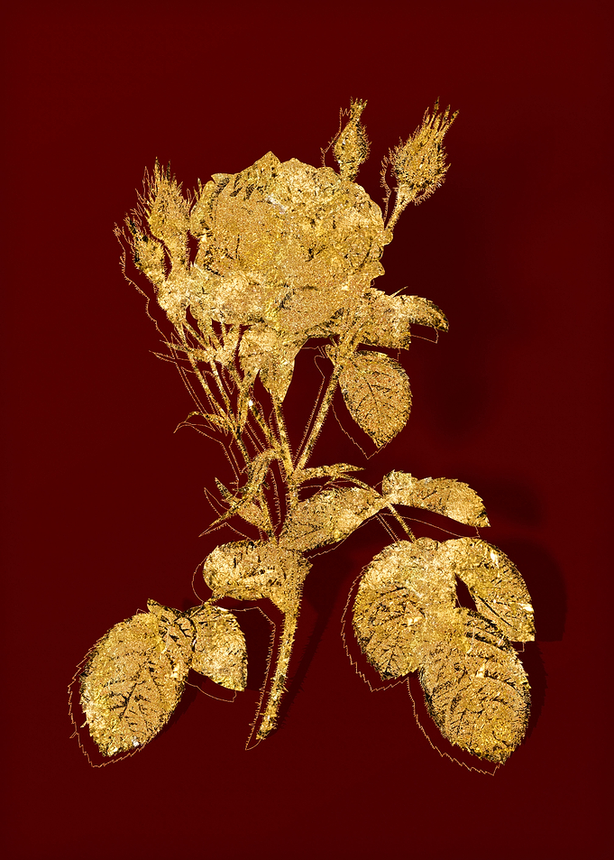 Gold Floral on Red