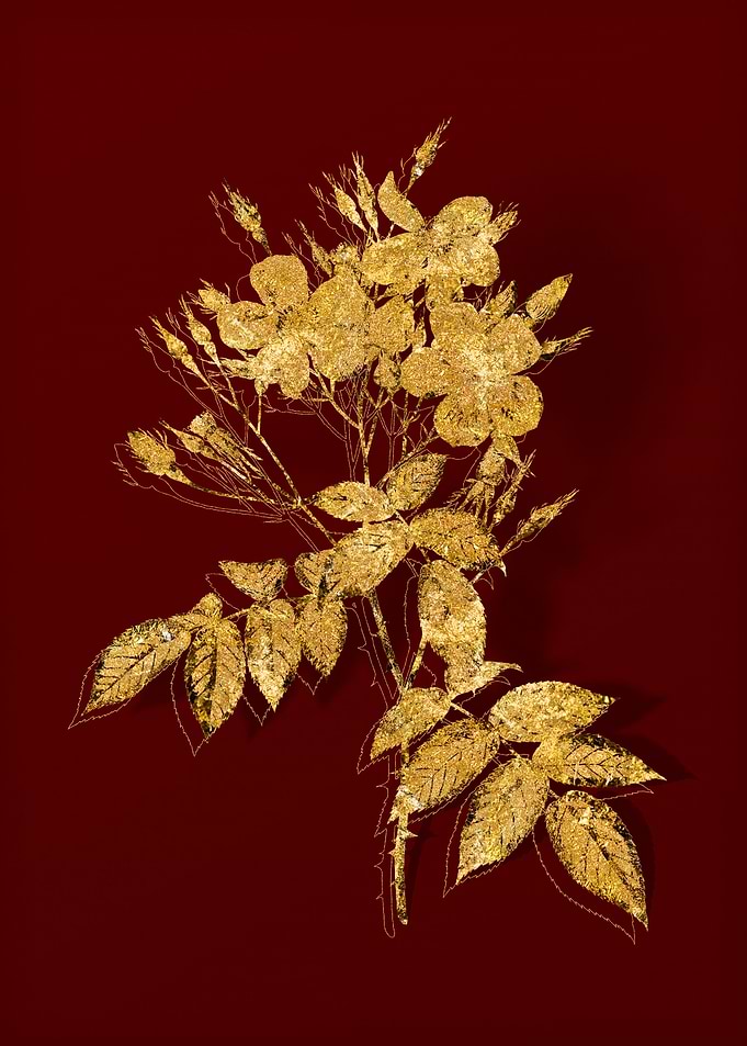Gold Flower on Red