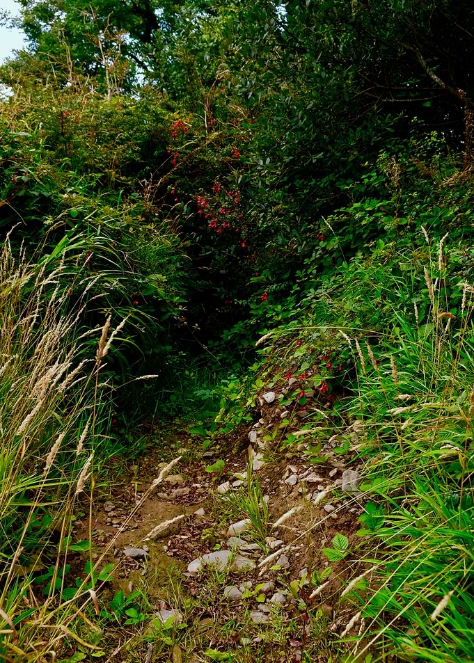 Faerie Path