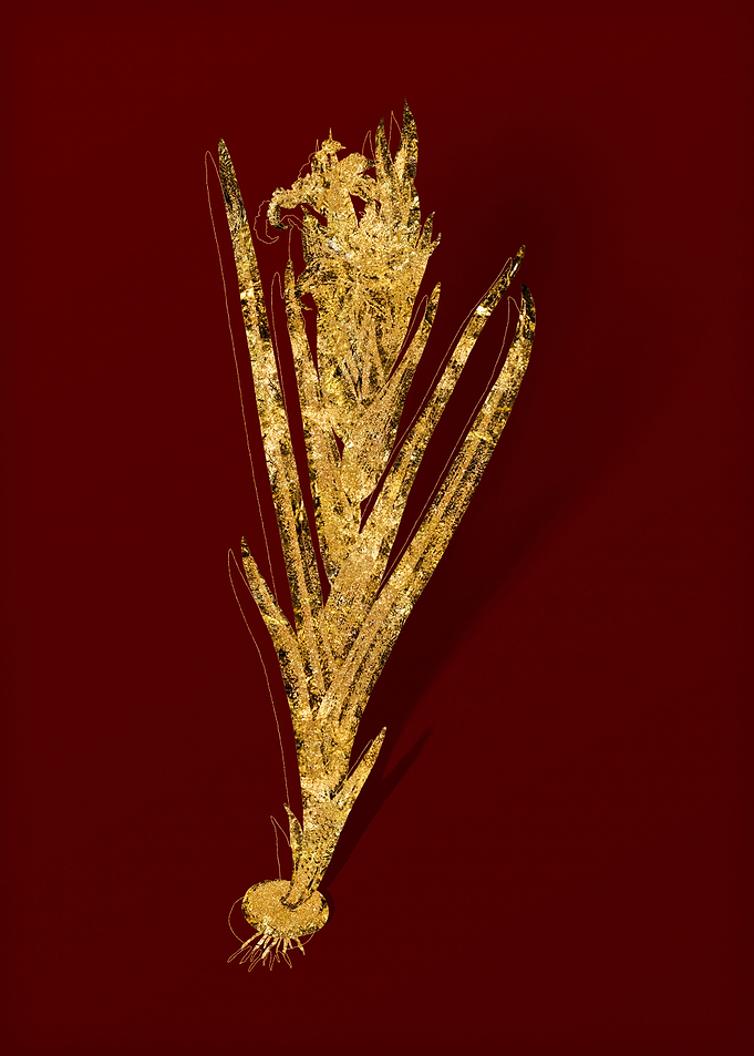 Gold Floral on Red
