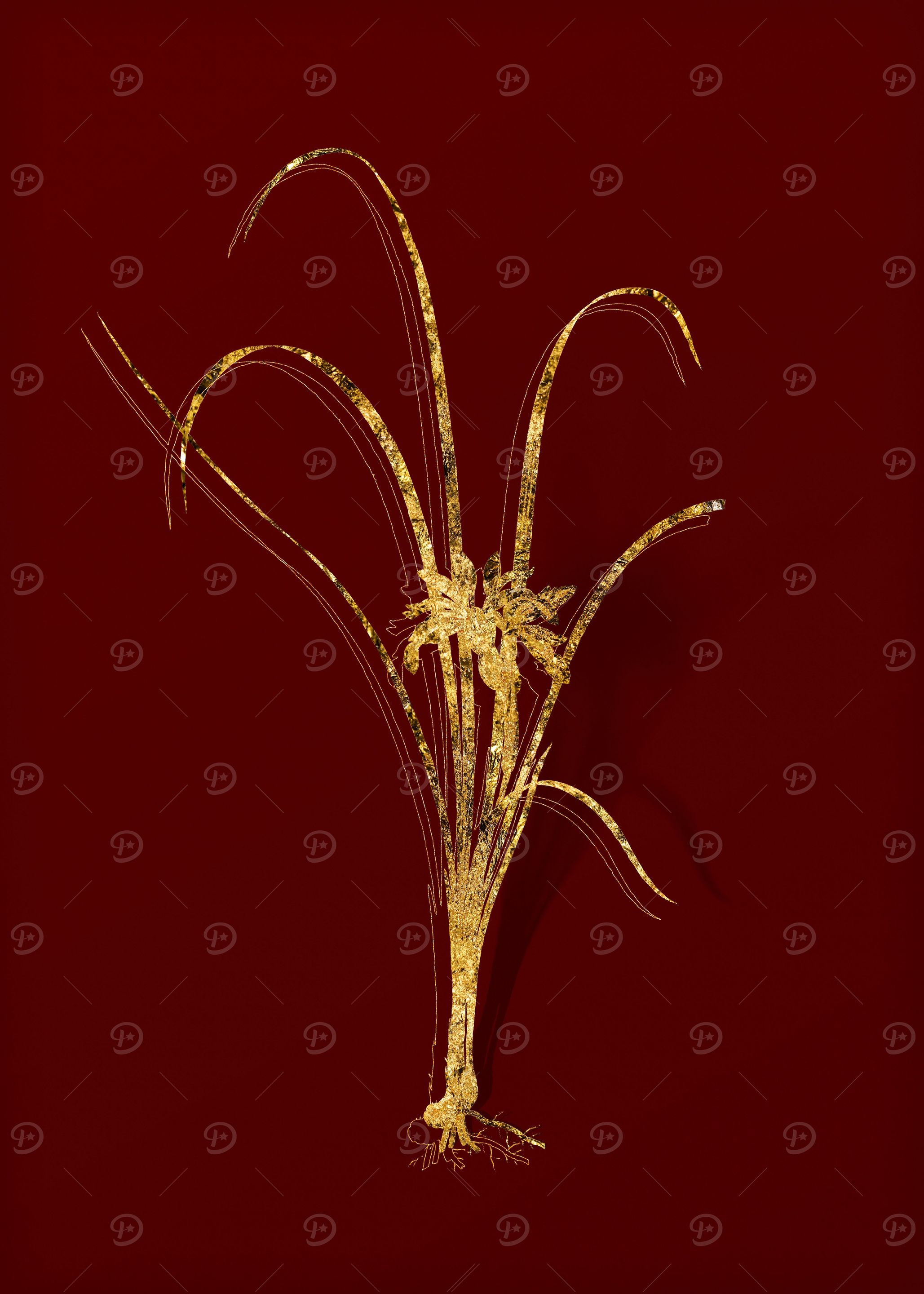 Gold Floral on Red