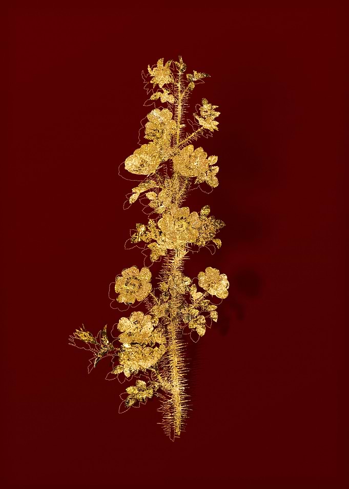 Gold Botanical on Red