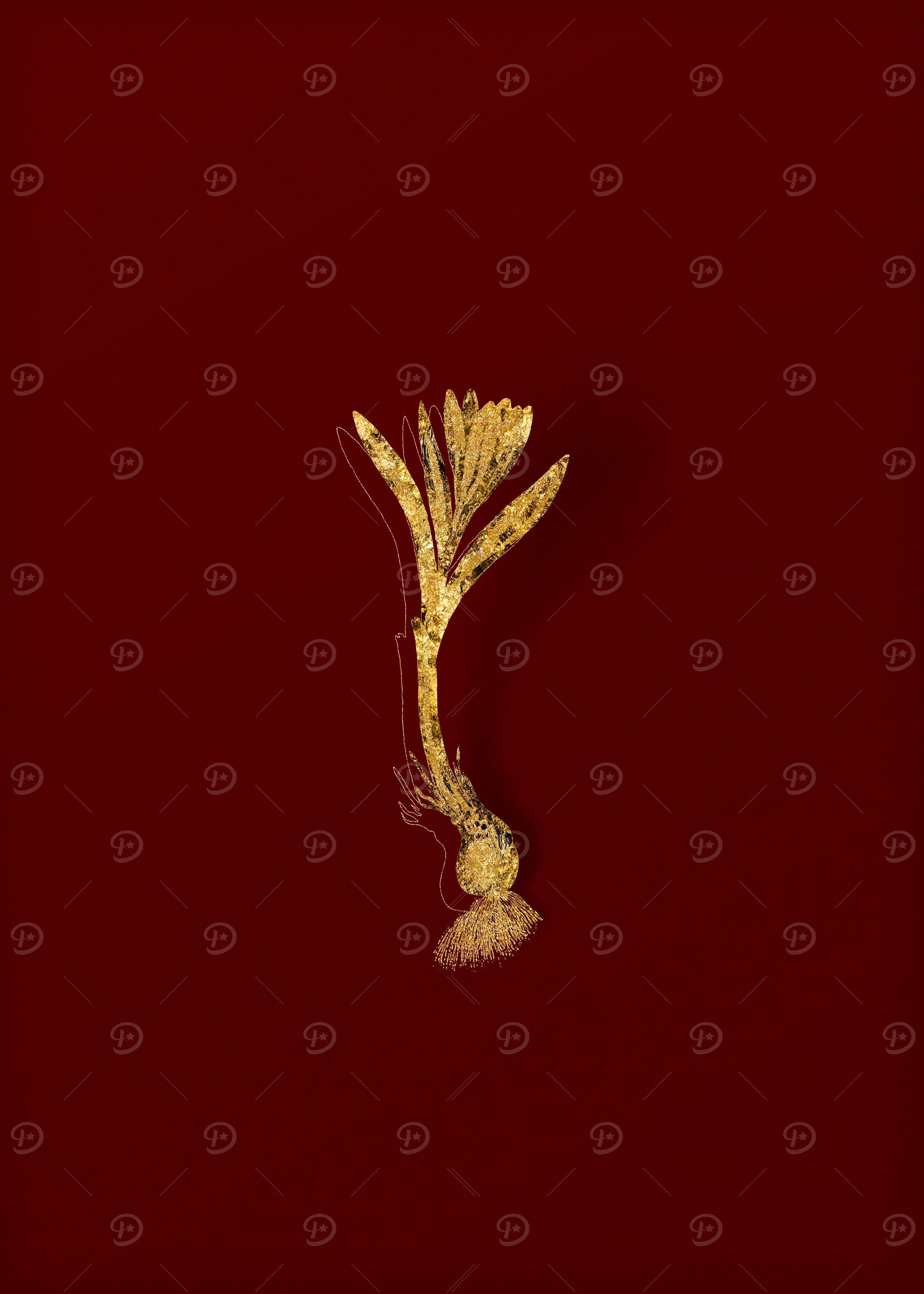 Gold Flora on Red