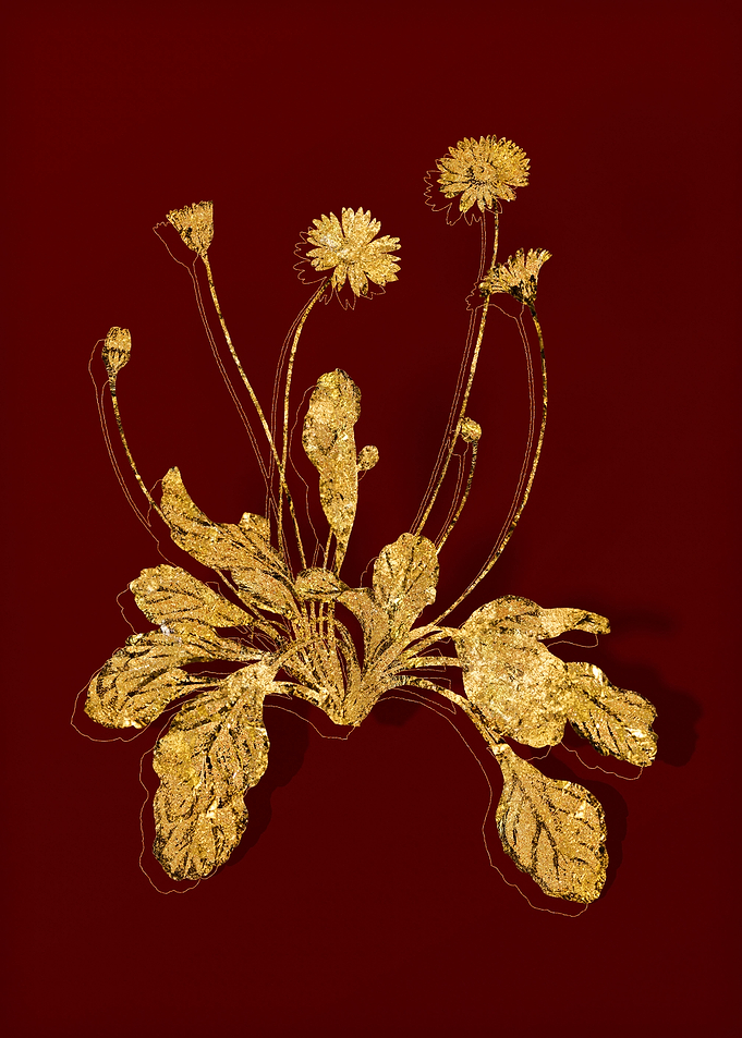 Gold Flower on Red