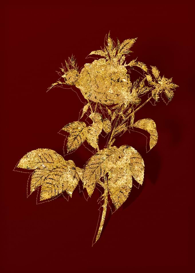 Gold Flora on Red