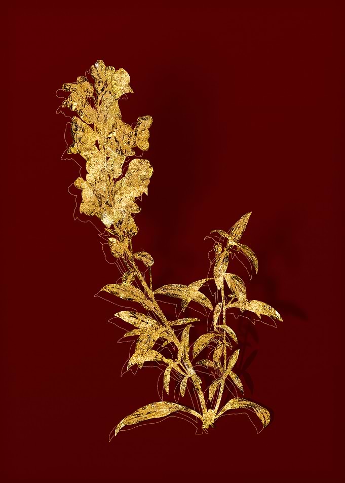 Gold Botanical on Red