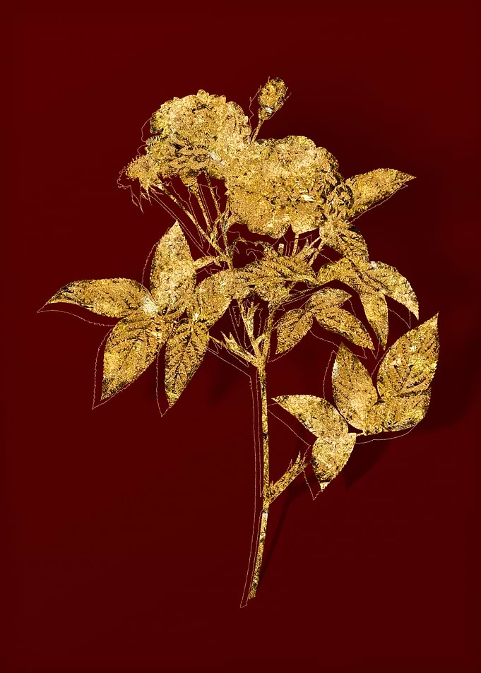 Gold Botanical on Red