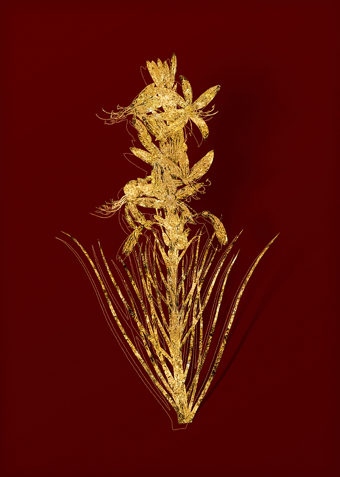 Gold Flower on Red