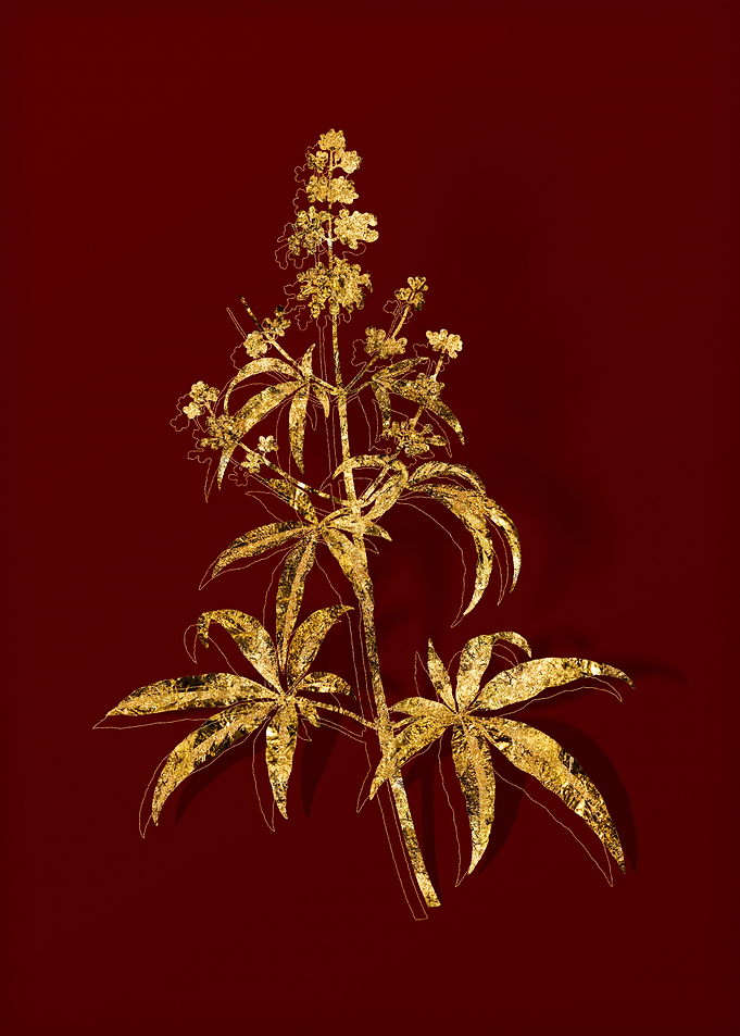 Gold Botanical on Red