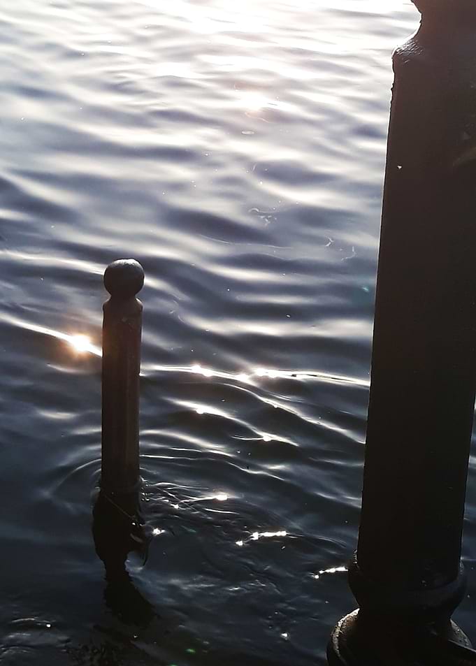 Riverside sunset detail