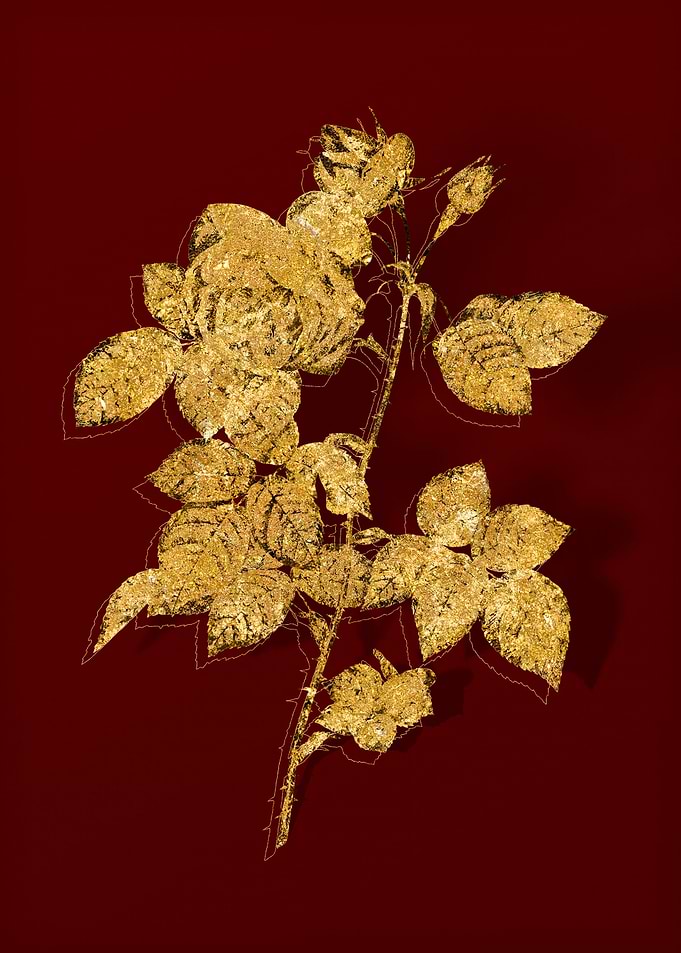 Gold Flora on Red