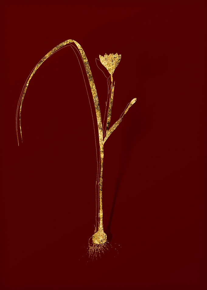 Gold Floral on Red