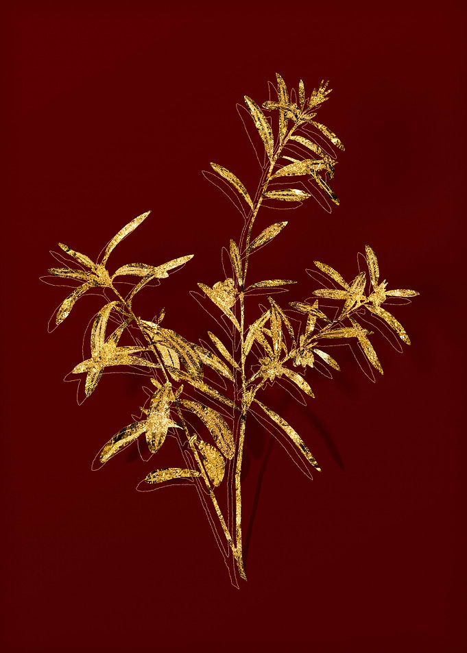 Gold Botanical on Red
