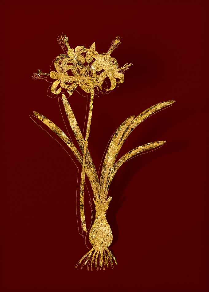 Gold Floral on Red