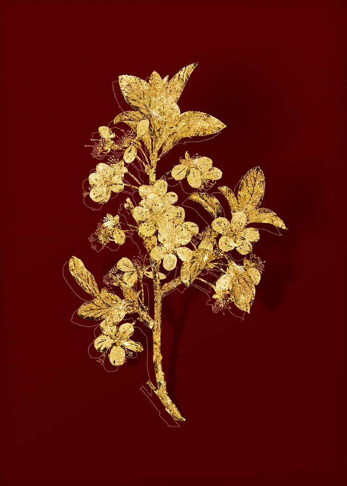 Gold Botanical on Red