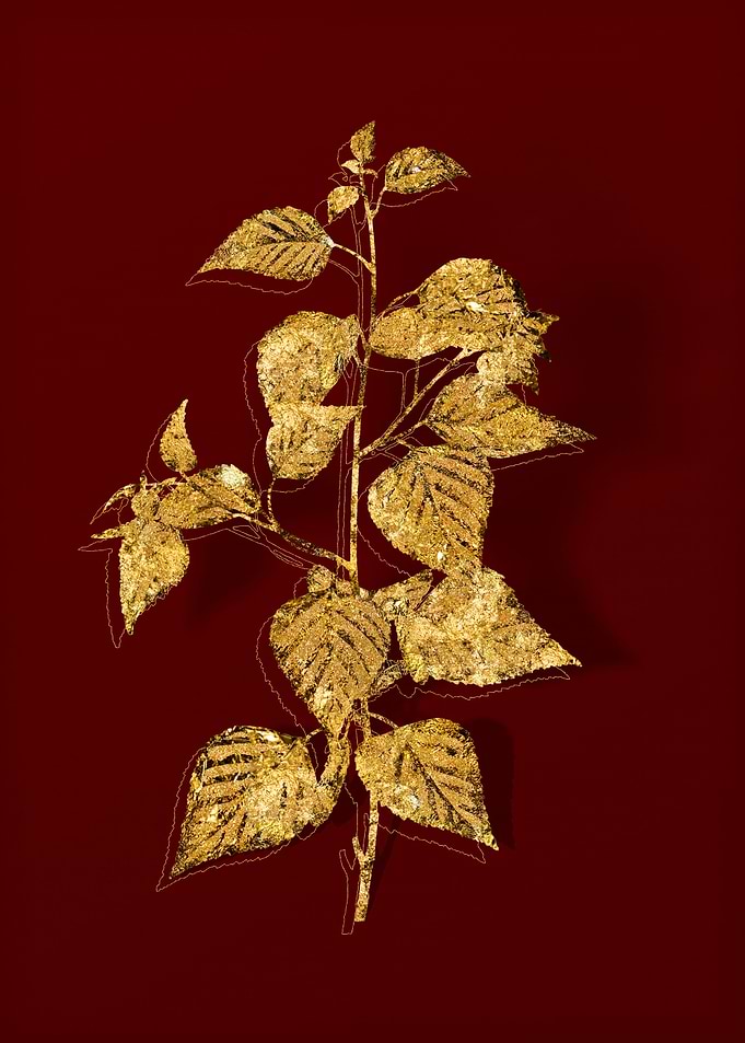 Gold Botanical on Red