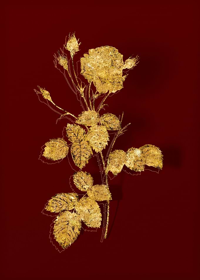 Gold Flower on Red