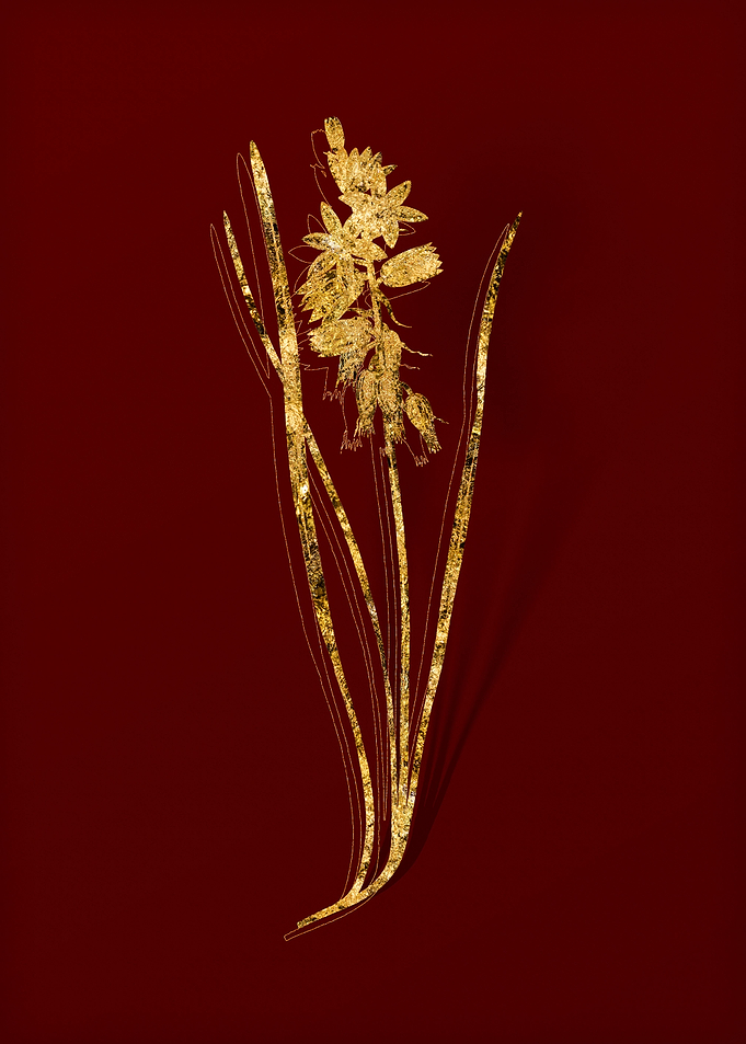Gold Floral on Red