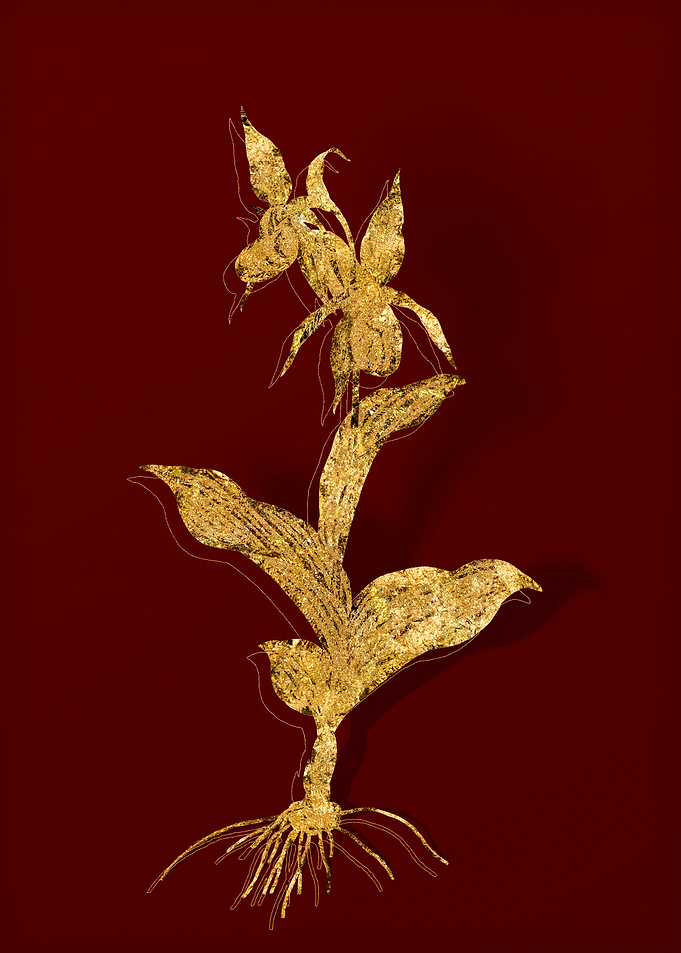 Gold Botanical on Red