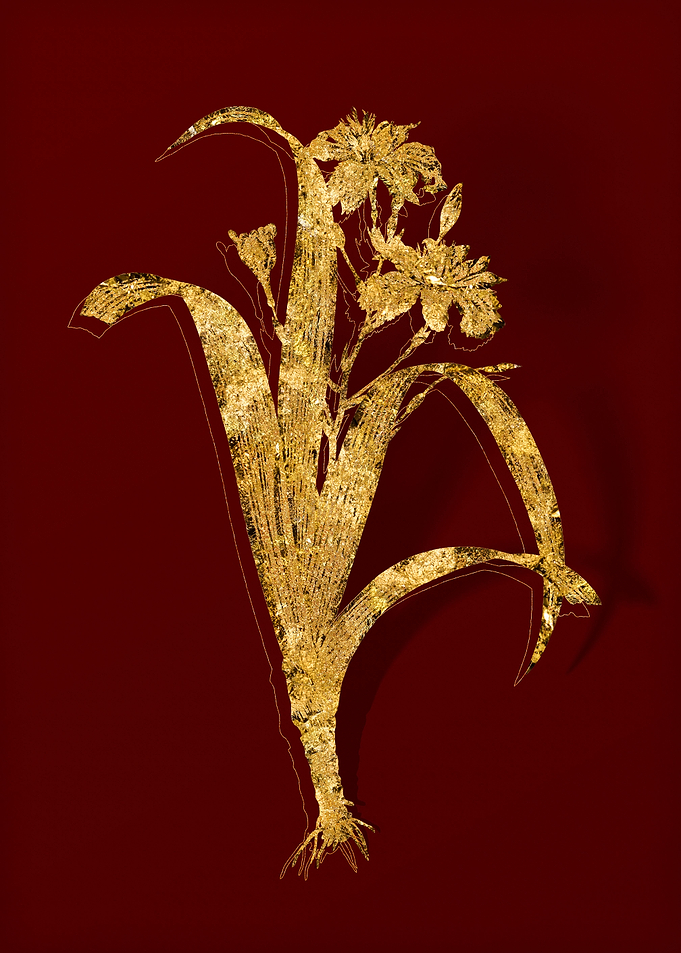 Gold Floral on Red