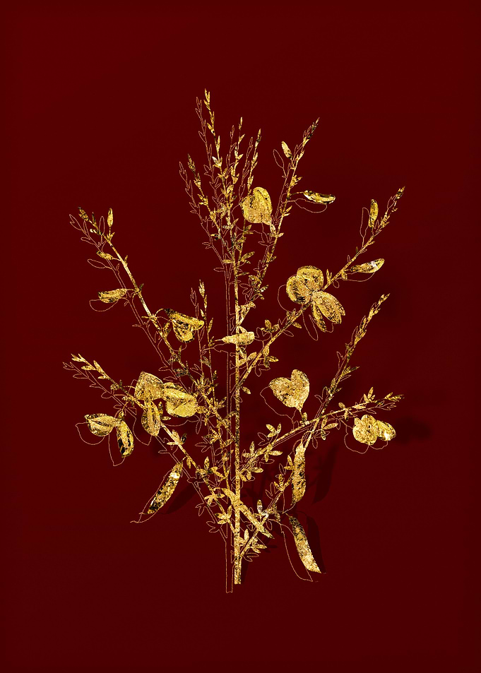 Gold Flower on Red