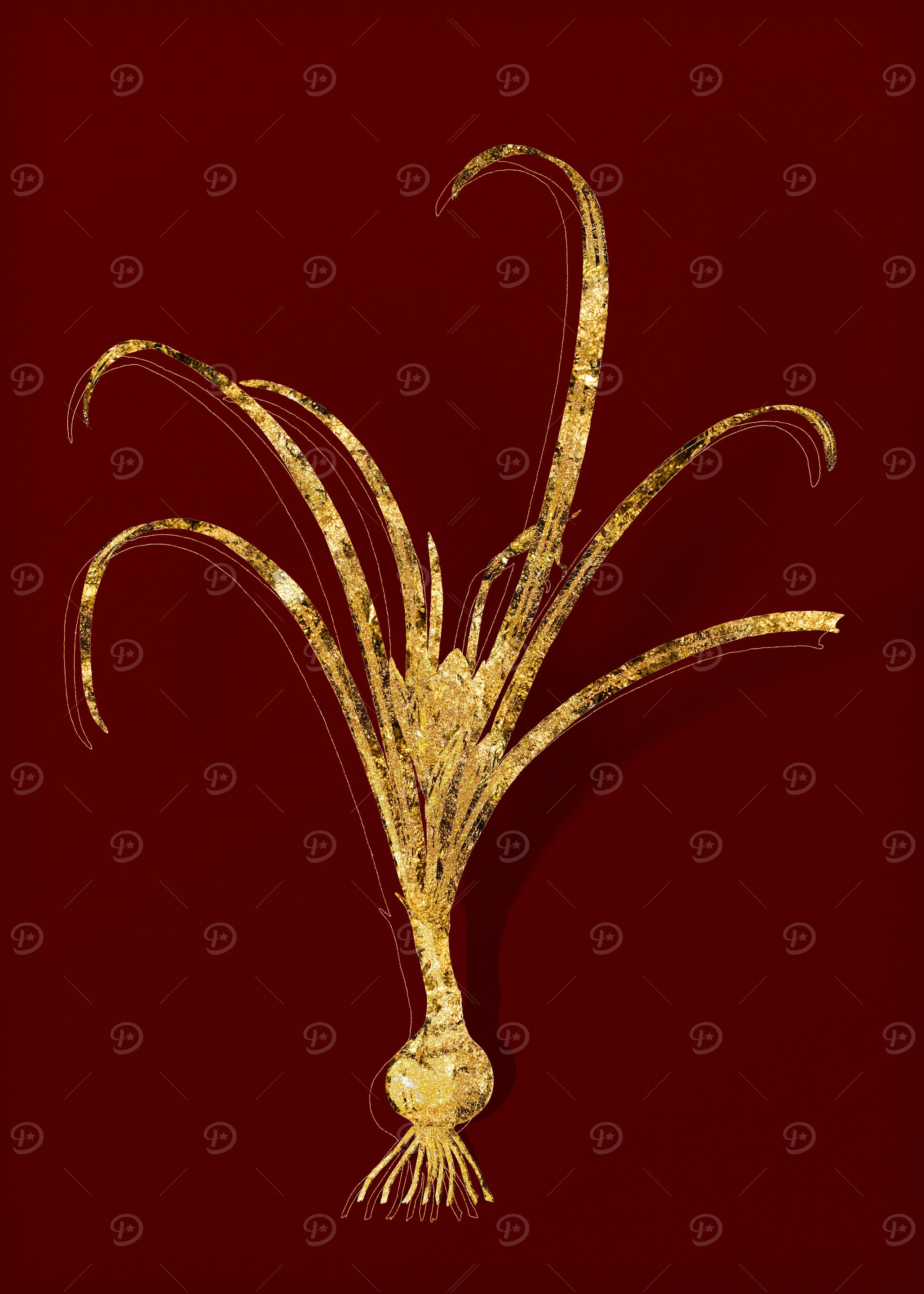 Gold Flower on Red