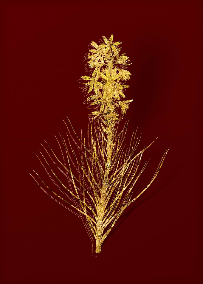 Gold Flower on Red