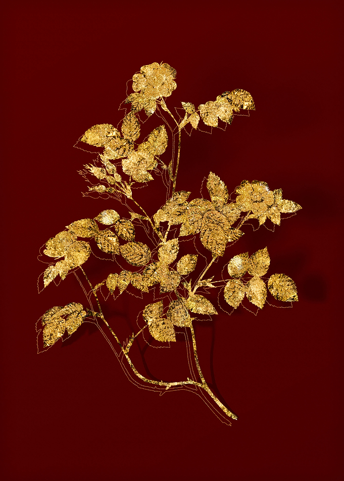 Gold Flower on Red