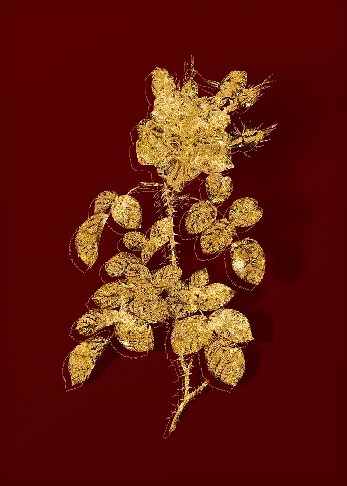 Gold Floral on Red