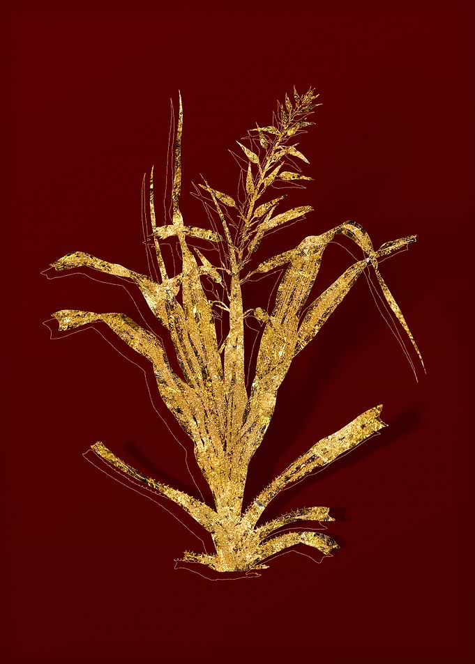 Gold Botanical on Red