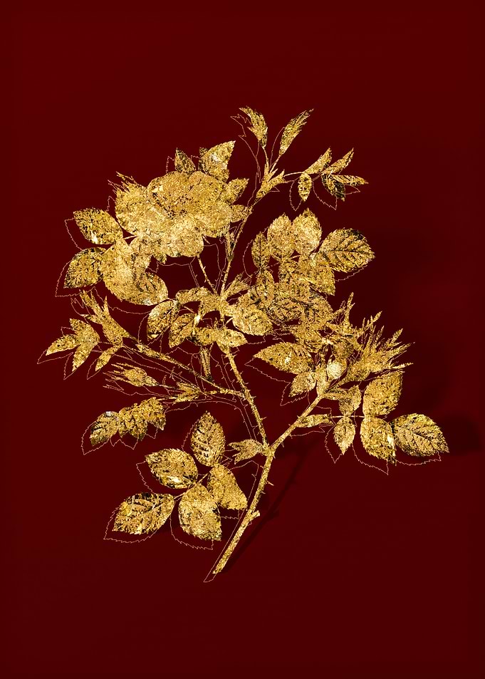Gold Flower on Red