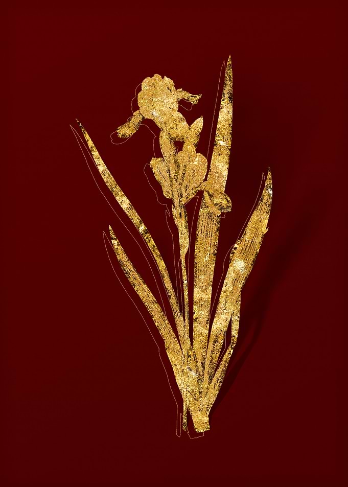 Gold Flora on Red