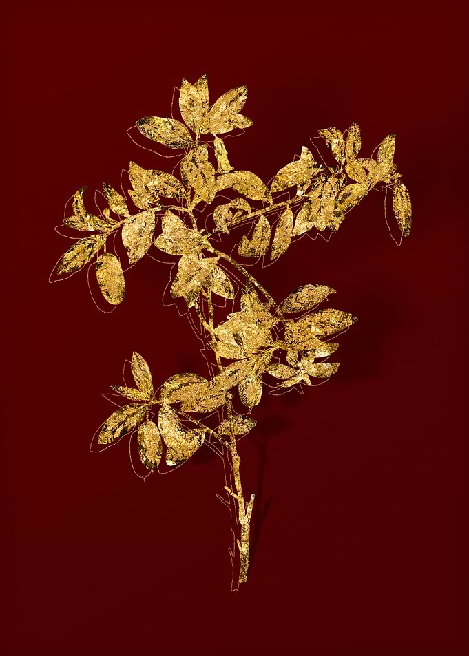 Gold Botanical on Red
