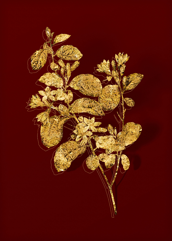 Gold Botanical on Red