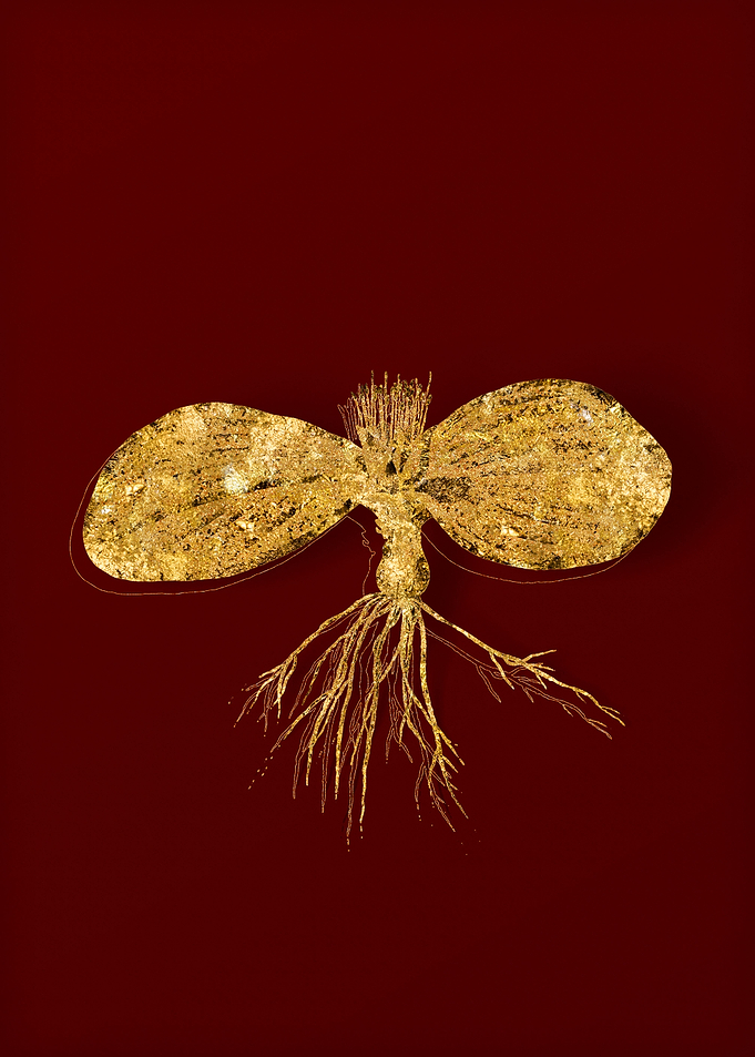 Gold Botanical on Red