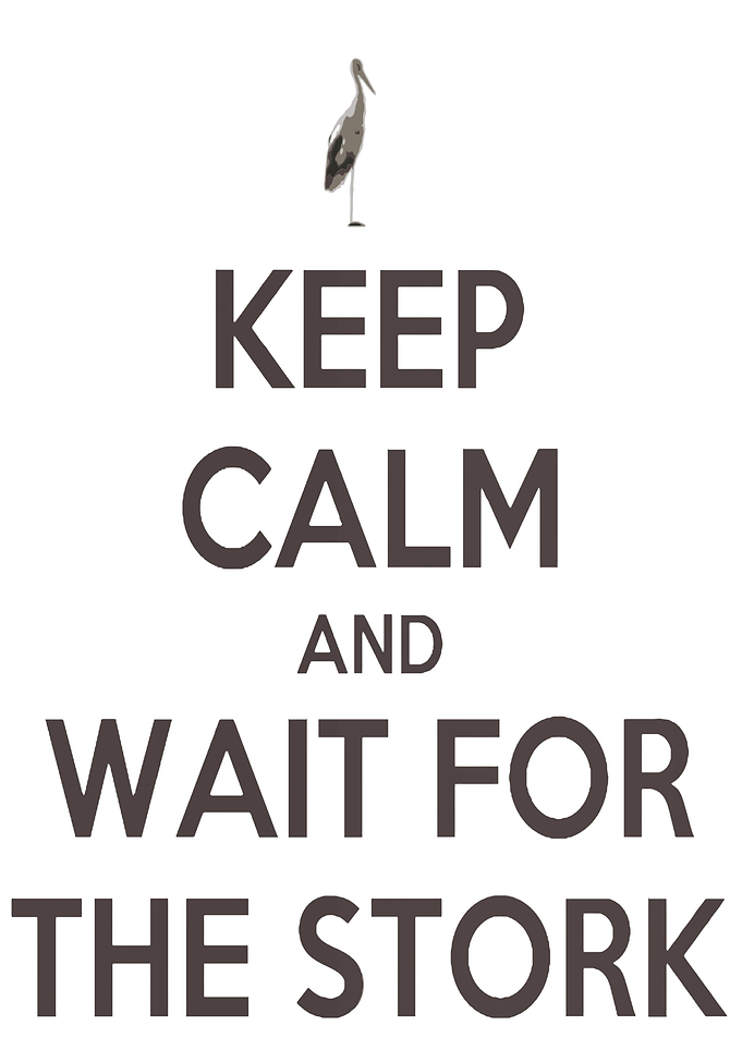 Wait For The Stork