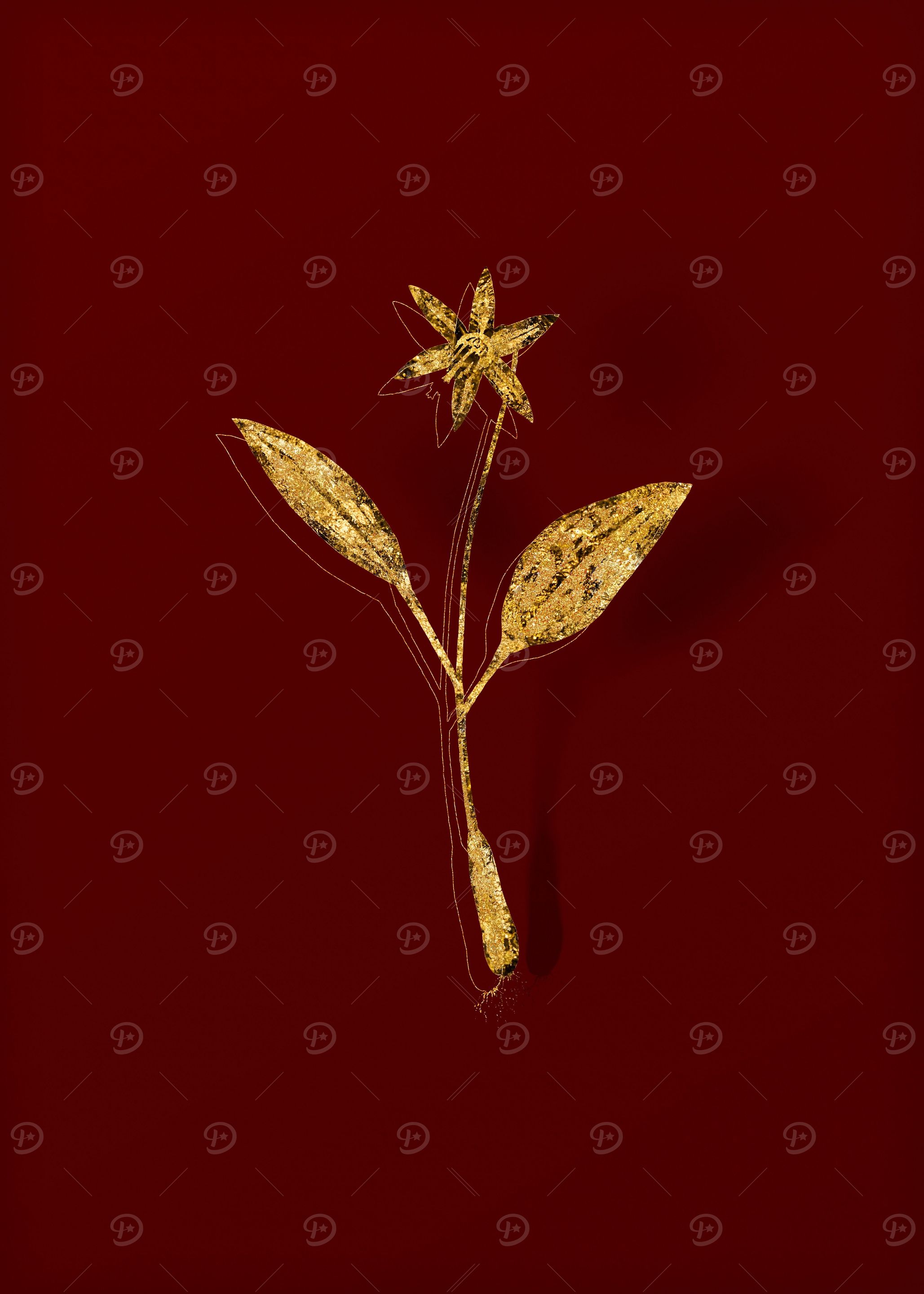 Gold Floral on Red