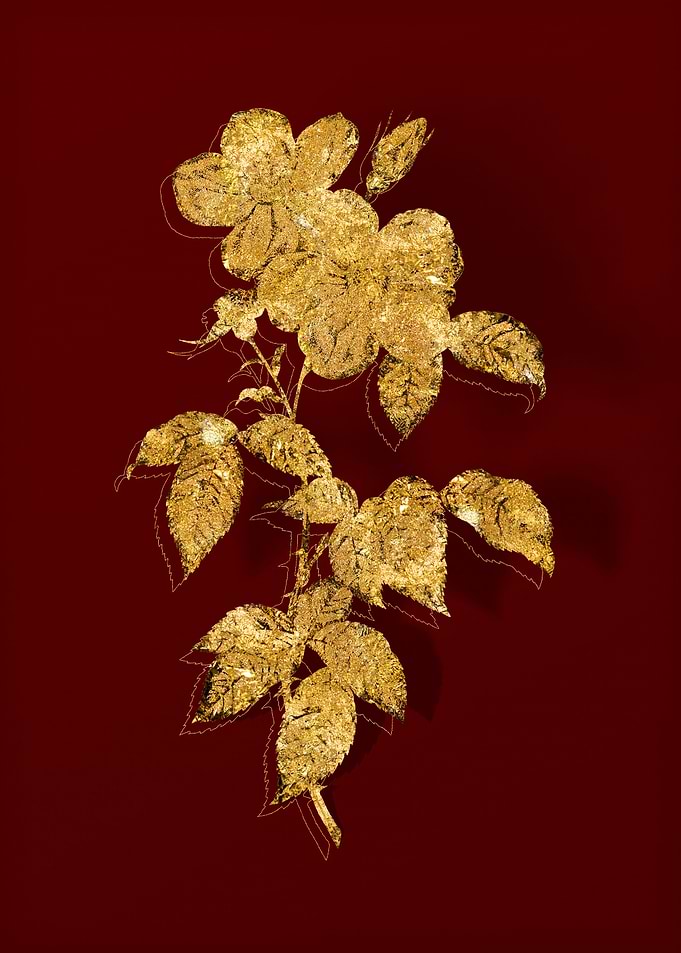 Gold Flora on Red