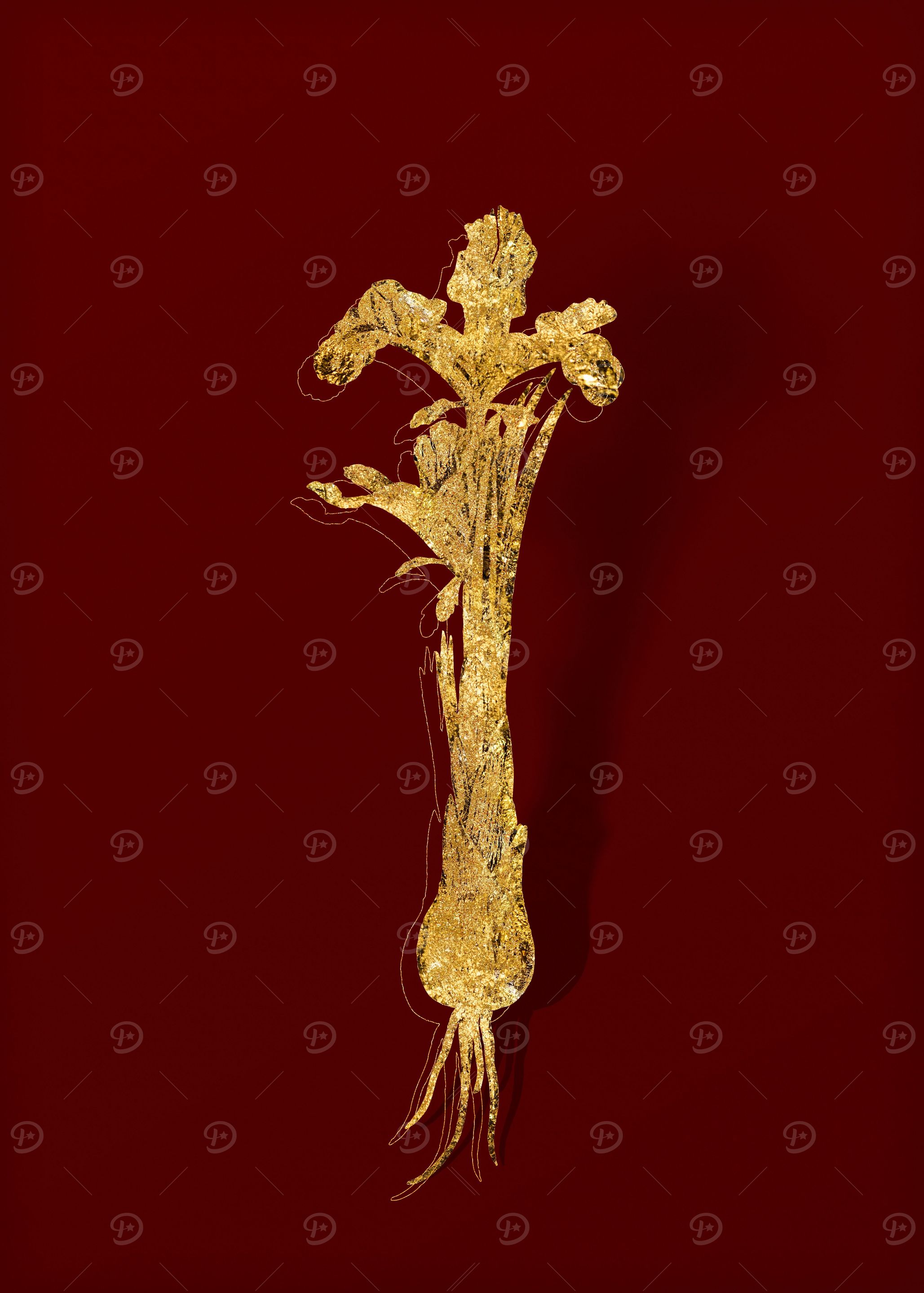 Gold Floral on Red