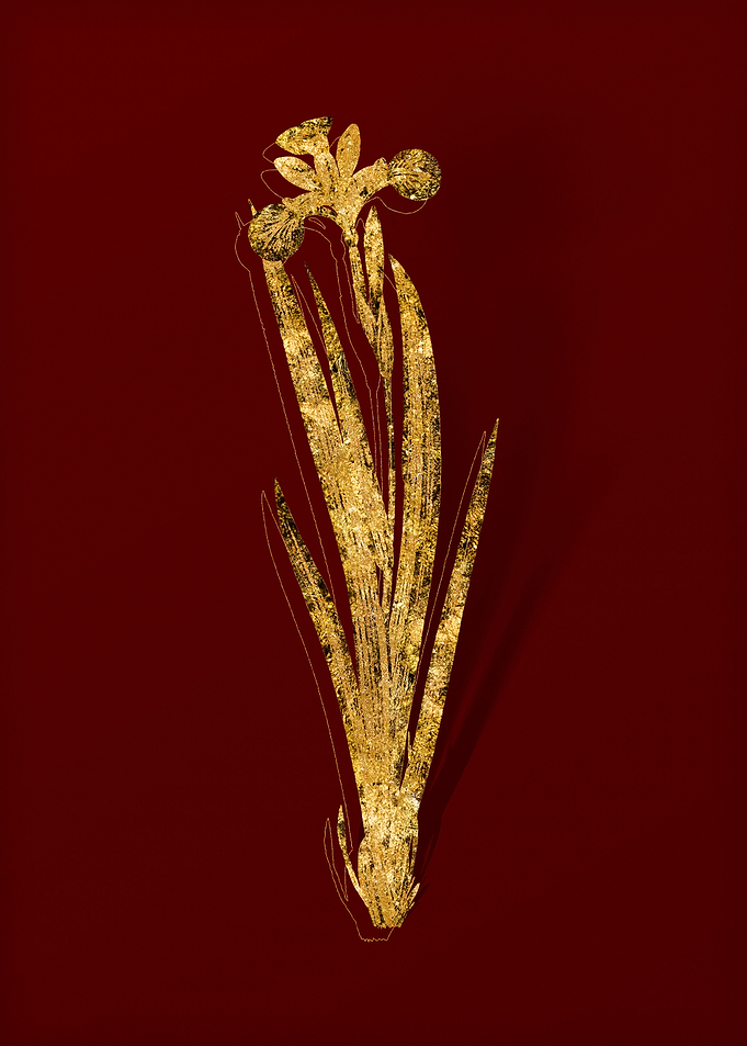 Gold Floral on Red