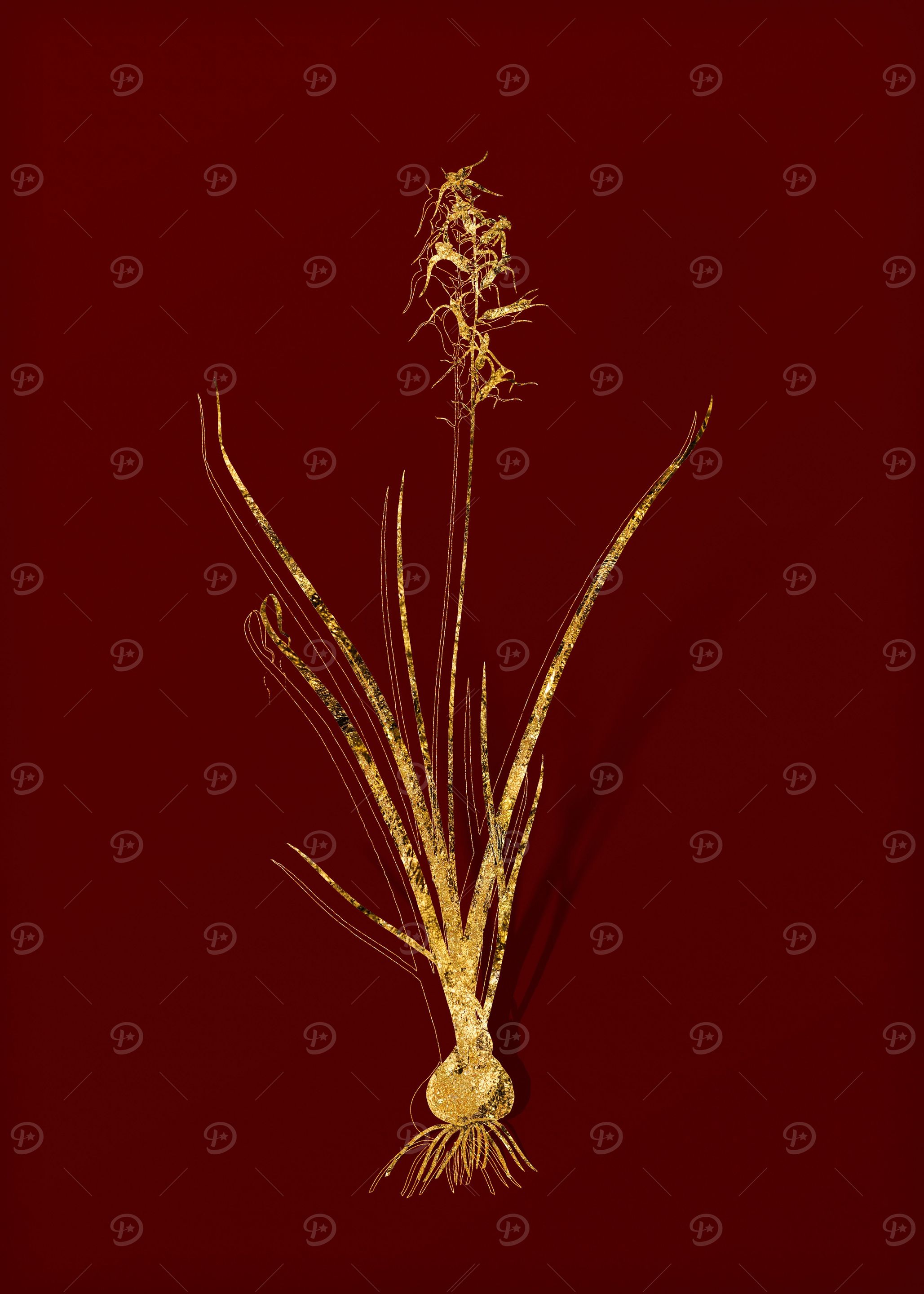 Gold Floral on Red