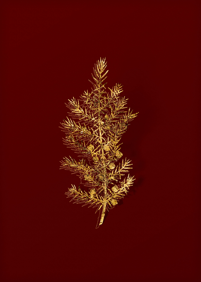 Gold Botanical on Red