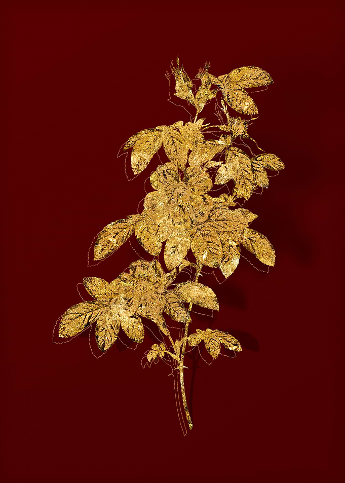 Gold Flower on Red